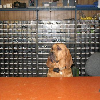 A & L Bolt & Screw Co Dog Behind Service Counter
